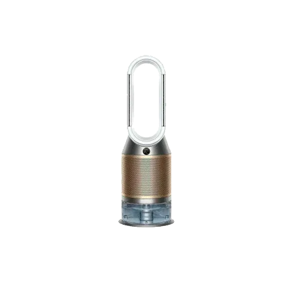 Dyson